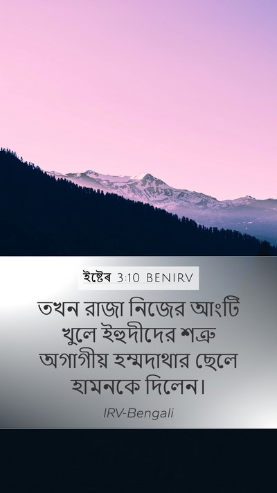 ইষ্টেৰ 3:10 BENIRV Bible Verse Image