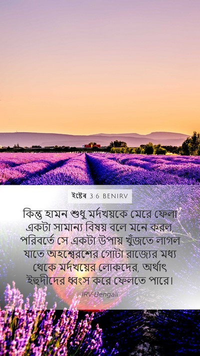 ইষ্টেৰ 3:6 BENIRV Bible Verse Image
