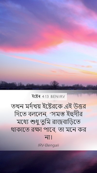 ইষ্টেৰ 4:13 BENIRV Bible Verse Image