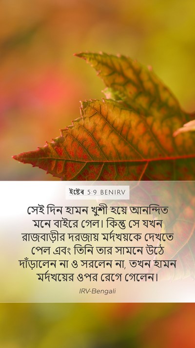 ইষ্টেৰ 5:9 BENIRV Bible Verse Image