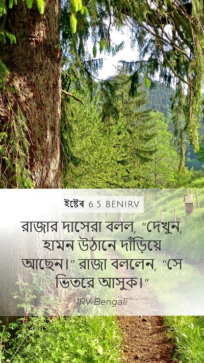 ইষ্টেৰ 6:5 BENIRV Mobile Phone Wallpaper - রাজার দাসেরা বলল, - Mobile Bible Verse Wallpaper