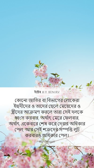 ইষ্টেৰ 8:11 BENIRV Bible Verse Image