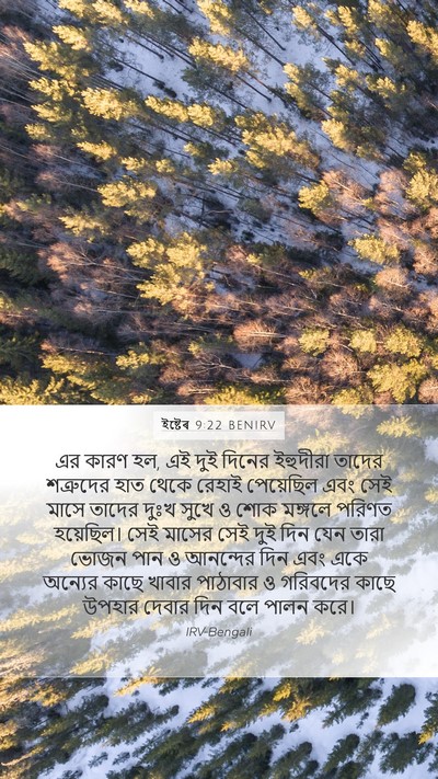 ইষ্টেৰ 9:22 BENIRV Mobile Phone Wallpaper - এর কারণ হল, এই দুই - Mobile Bible Verse Wallpaper