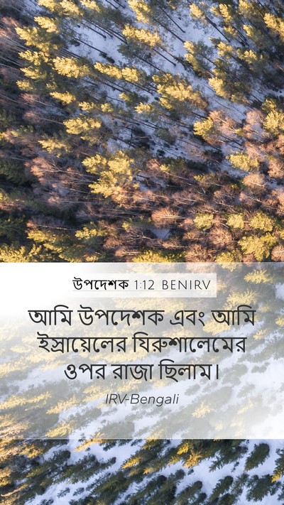 উপদেশক 1:12 BENIRV Bible Verse Image