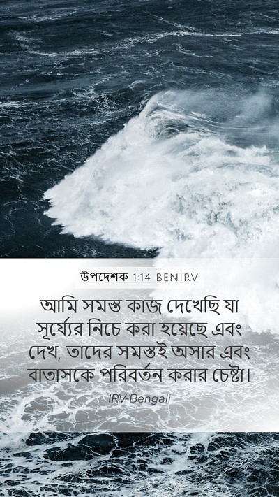 উপদেশক 1:14 BENIRV Bible Verse Image