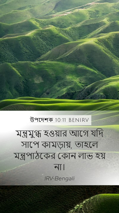 উপদেশক 10:11 BENIRV Bible Verse Image