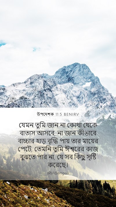 উপদেশক 11:5 BENIRV Bible Verse Image