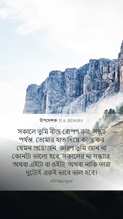 উপদেশক 11:6 BENIRV Bible Verse Image