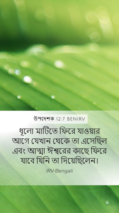 উপদেশক 12:7 BENIRV Bible Verse Image