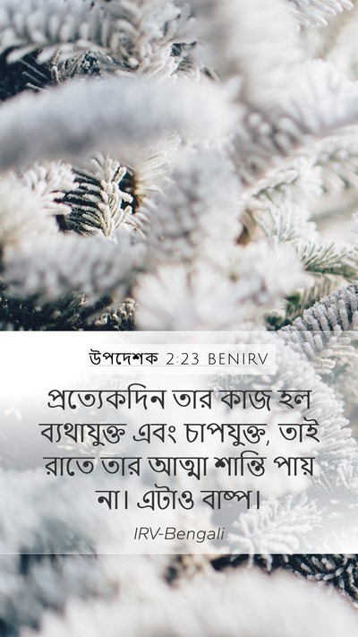 উপদেশক 2:23 BENIRV Bible Verse Image