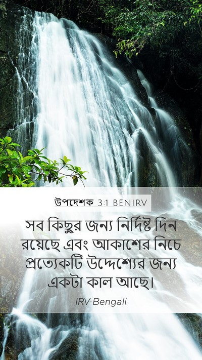 উপদেশক 3:1 BENIRV Mobile Phone Wallpaper - সব কিছুর জন্য - Mobile Bible Verse Wallpaper
