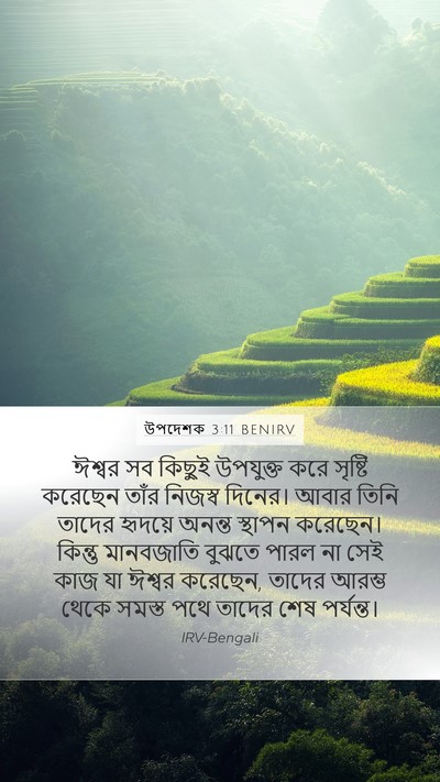 উপদেশক 3:11 BENIRV Bible Verse Image