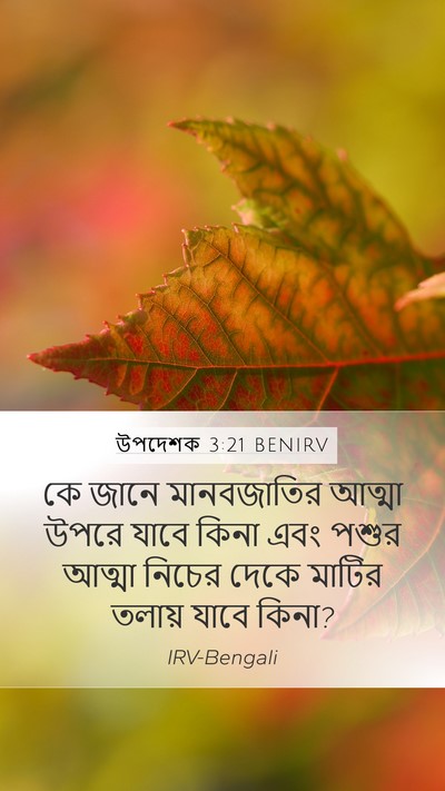 উপদেশক 3:21 BENIRV Bible Verse Image