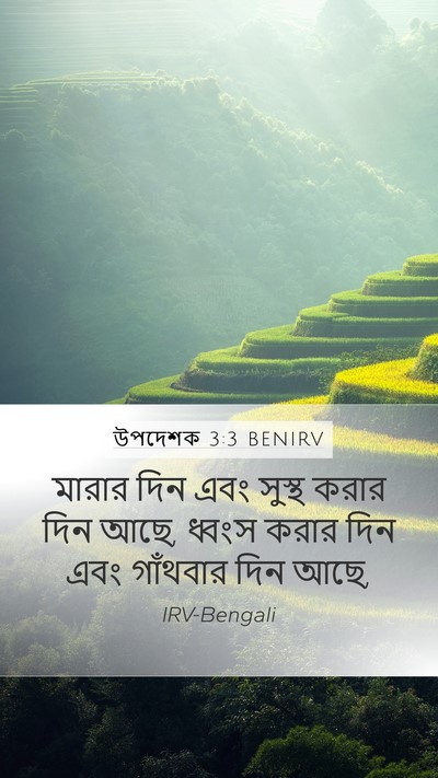 উপদেশক 3:3 BENIRV Mobile Phone Wallpaper - মারার দিন এবং - Mobile Bible Verse Wallpaper