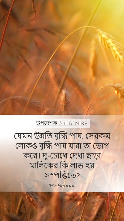 উপদেশক 5:11 BENIRV Mobile Phone Wallpaper - যেমন উন্নতি - Mobile Bible Verse Wallpaper