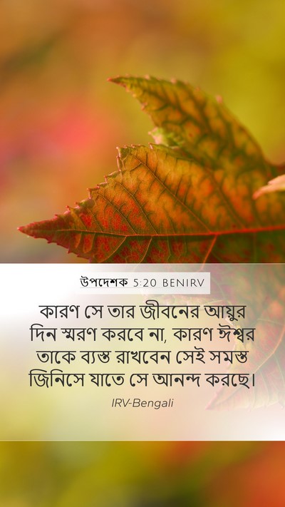 উপদেশক 5:20 BENIRV Mobile Phone Wallpaper - কারণ সে তার জীবনের - Mobile Bible Verse Wallpaper