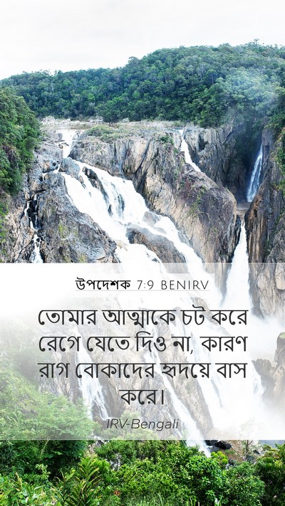 উপদেশক 7:9 BENIRV Bible Verse Image