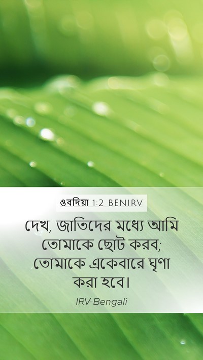 ওবদিয়া 1:2 BENIRV Bible Verse Image