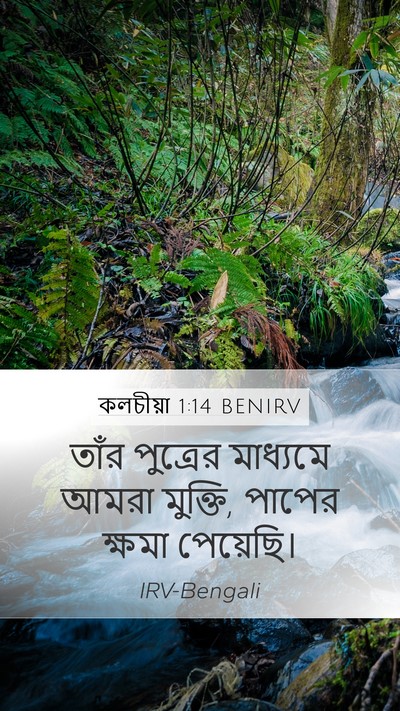 কলচীয়া 1:14 BENIRV Bible Verse Image