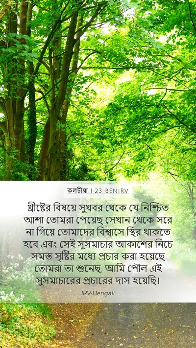 কলচীয়া 1:23 BENIRV Bible Verse Image