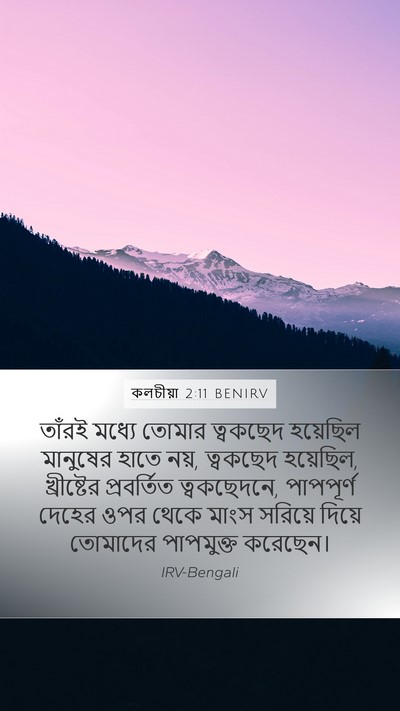 কলচীয়া 2:11 BENIRV Bible Verse Image