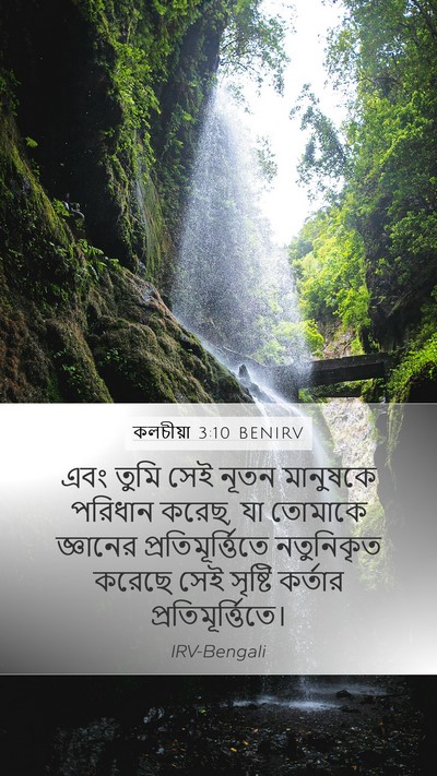 কলচীয়া 3:10 BENIRV Bible Verse Image