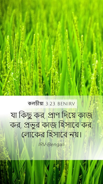 কলচীয়া 3:23 BENIRV Bible Verse Image