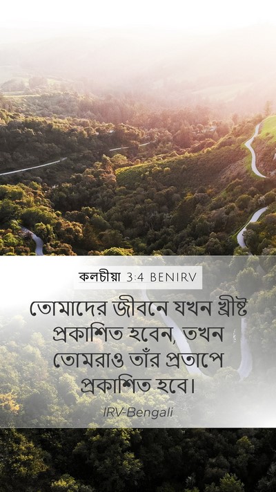 কলচীয়া 3:4 BENIRV Bible Verse Image