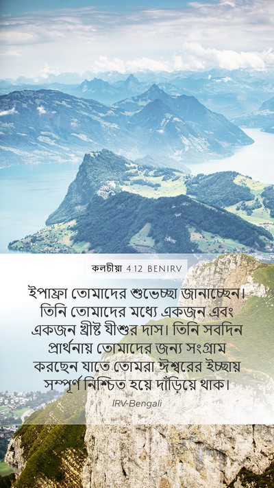 কলচীয়া 4:12 BENIRV Bible Verse Image