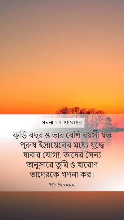 গননা 1:3 BENIRV Mobile Phone Wallpaper - কুড়ি বছর ও তার - Mobile Bible Verse Wallpaper