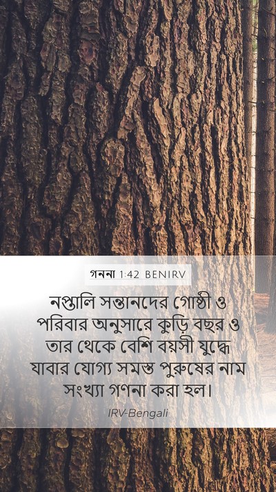 গননা 1:42 BENIRV Bible Verse Image