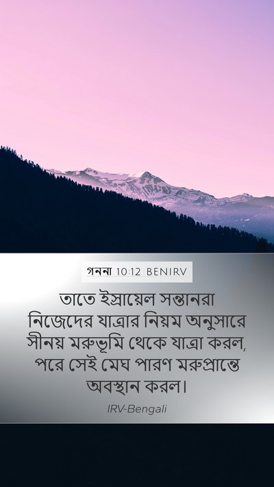 গননা 10:12 BENIRV Bible Verse Image