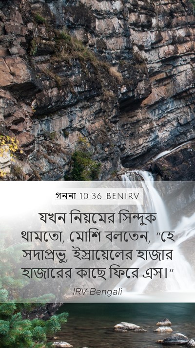 গননা 10:36 BENIRV Mobile Phone Wallpaper - যখন নিয়মের - Mobile Bible Verse Wallpaper