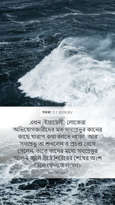 গননা 11:1 BENIRV Bible Verse Image
