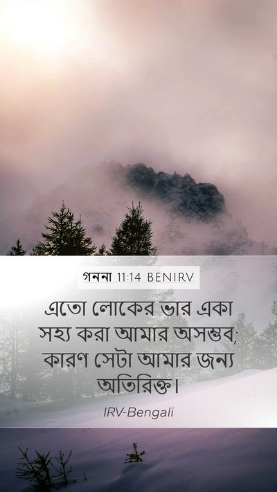 গননা 11:14 BENIRV Bible Verse Image