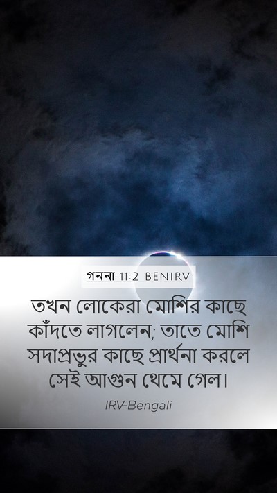 গননা 11:2 BENIRV Mobile Phone Wallpaper - তখন লোকেরা মোশির - Mobile Bible Verse Wallpaper