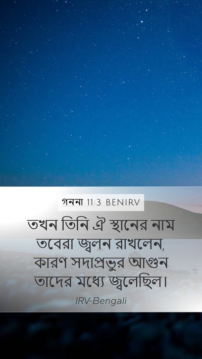 গননা 11:3 BENIRV Mobile Phone Wallpaper - তখন তিনি ঐ স্থানের - Mobile Bible Verse Wallpaper