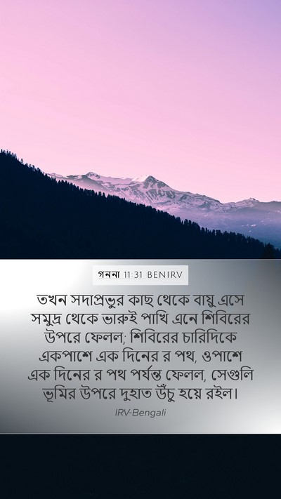 গননা 11:31 BENIRV Mobile Phone Wallpaper - তখন সদাপ্রভুর কাছ - Mobile Bible Verse Wallpaper