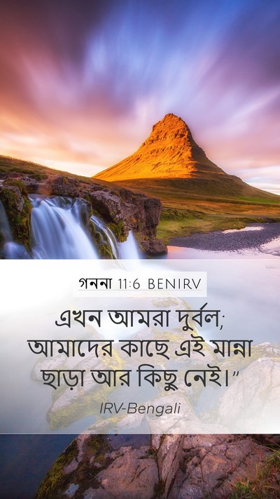 গননা 11:6 BENIRV Mobile Phone Wallpaper - এখন আমরা দুর্বল; - Mobile Bible Verse Wallpaper
