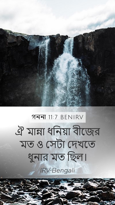 গননা 11:7 BENIRV Mobile Phone Wallpaper - ঐ মান্না ধনিয়া - Mobile Bible Verse Wallpaper