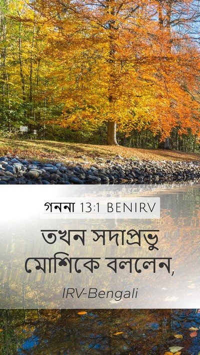 গননা 13:1 BENIRV Bible Verse Image