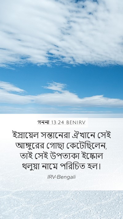 গননা 13:24 BENIRV Mobile Phone Wallpaper - ইস্রায়েল - Mobile Bible Verse Wallpaper