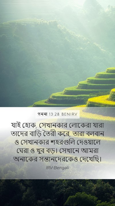 গননা 13:28 BENIRV Bible Verse Image