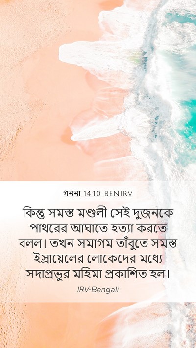 গননা 14:10 BENIRV Bible Verse Image