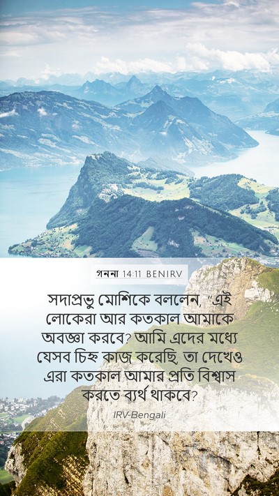 গননা 14:11 BENIRV Bible Verse Image