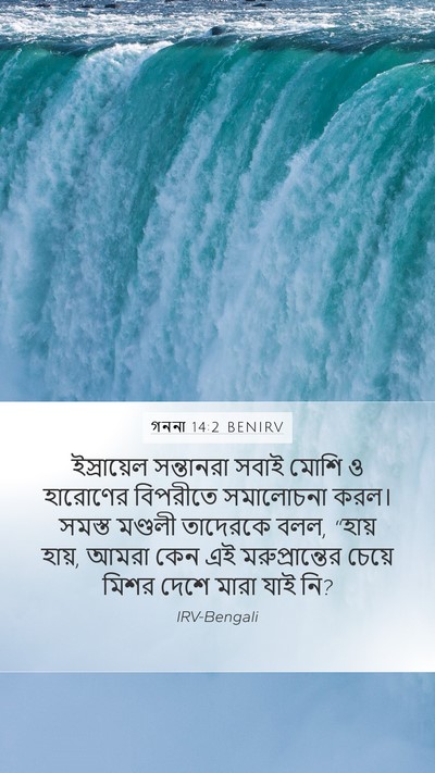 গননা 14:2 BENIRV Bible Verse Image