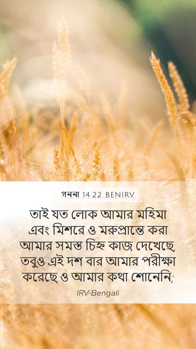 গননা 14:22 BENIRV Bible Verse Image