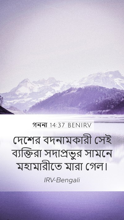 গননা 14:37 BENIRV Bible Verse Image