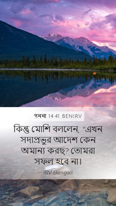 গননা 14:41 BENIRV Bible Verse Image