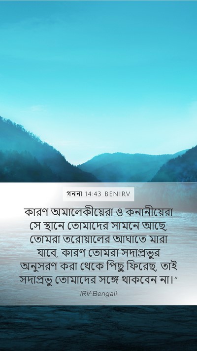 গননা 14:43 BENIRV Bible Verse Image